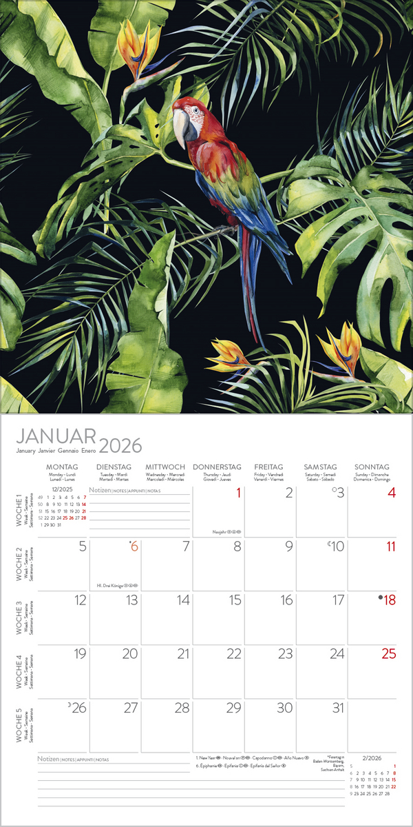 Dschungelfieber 2026, Innenansicht #1