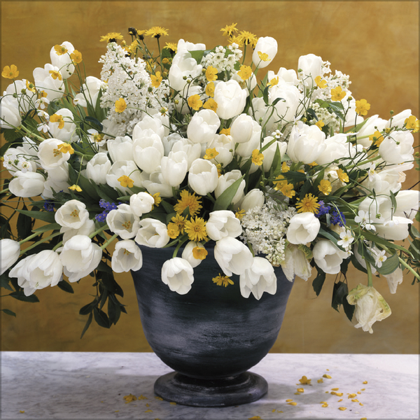 Flowers 2026, Innenansicht #2