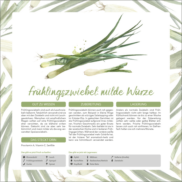 Saisonal genießen 2026, Innenansicht #4