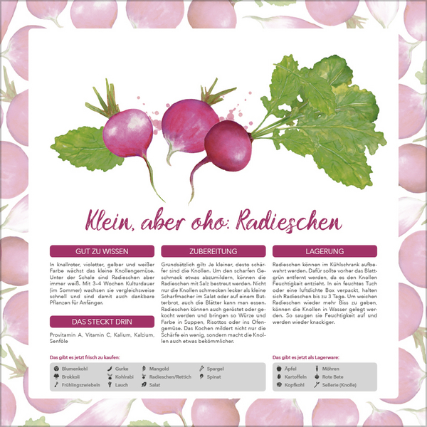 Saisonal genießen 2026, Innenansicht #5