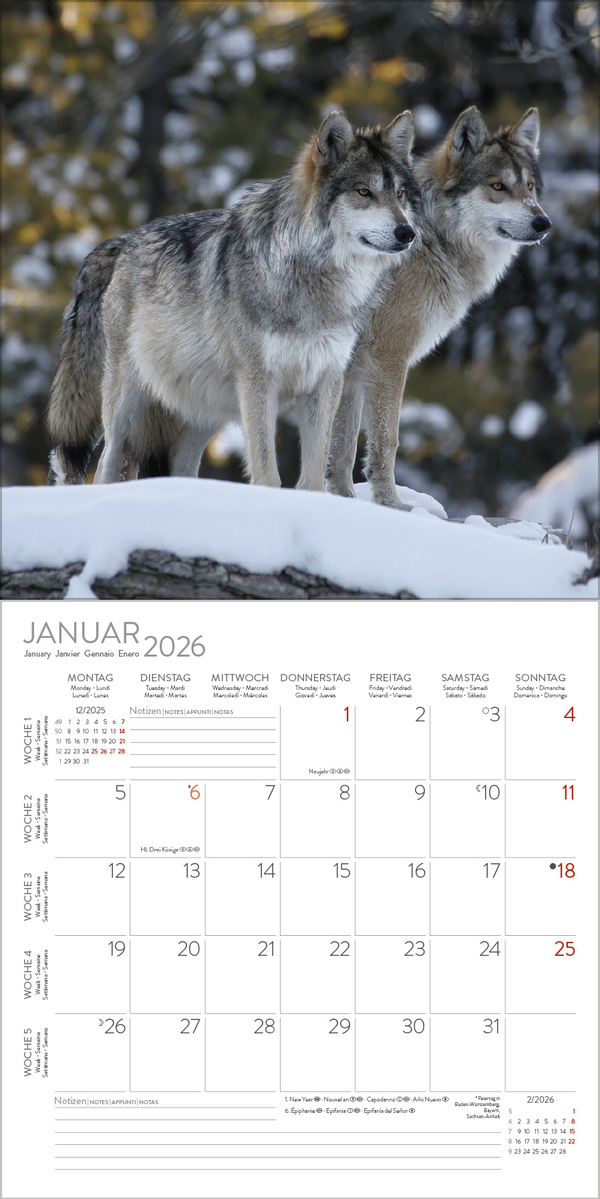 Tiere des Waldes 2026, Innenansicht #1