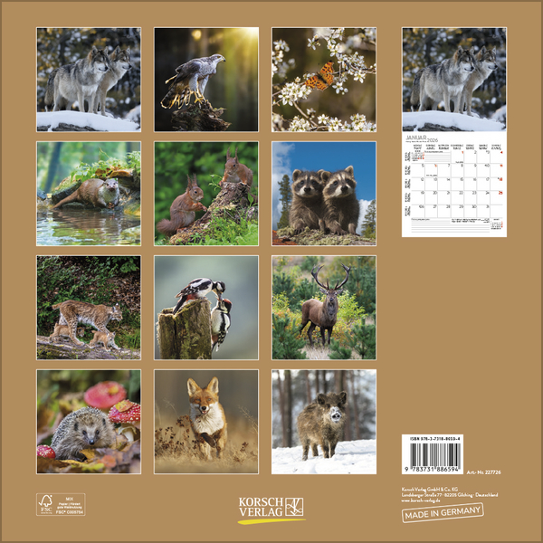 Tiere des Waldes 2026, Innenansicht #13