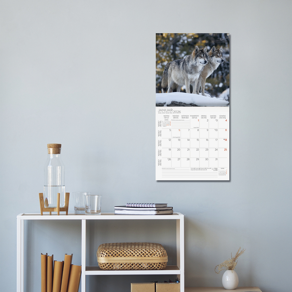 Tiere des Waldes 2026, Innenansicht #16