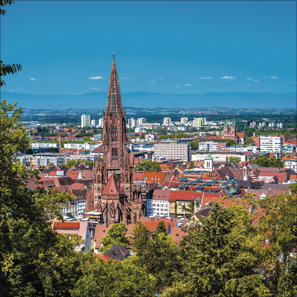 Schwarzwald 2026, Innenansicht #10