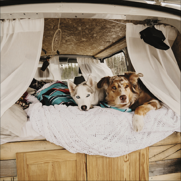 Vanlife 2026, Innenansicht #11