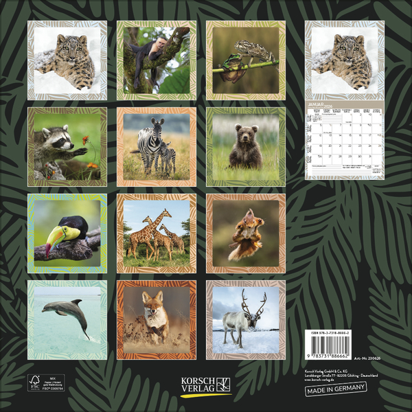 Achtung wild - Tiere aus aller Welt 2026, Innenansicht #13