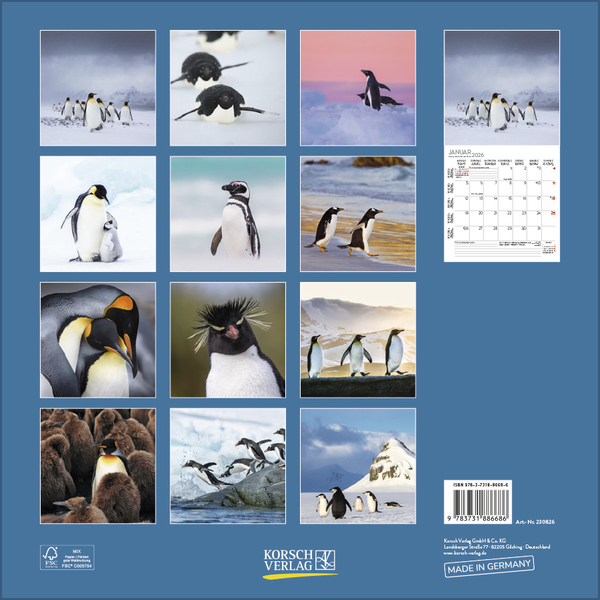 Pinguine 2026, Innenansicht #13