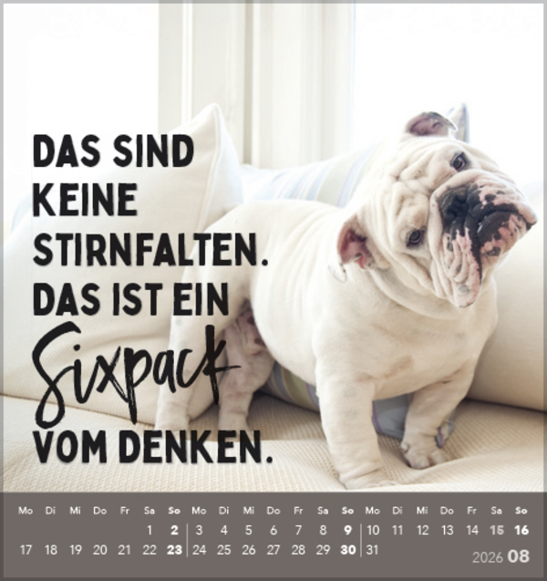 Lieber verrückt das Leben genießen 2026, Innenansicht #8