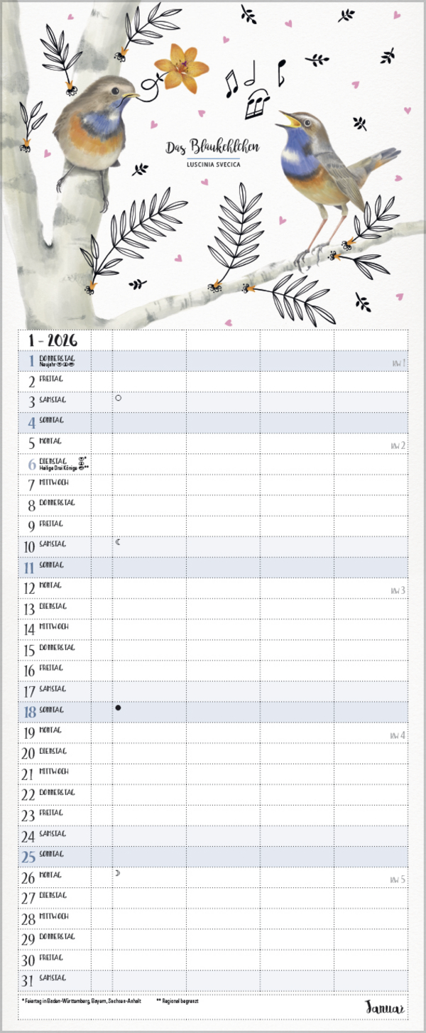 Familienplaner Pretty Birds 2026, Innenansicht #1