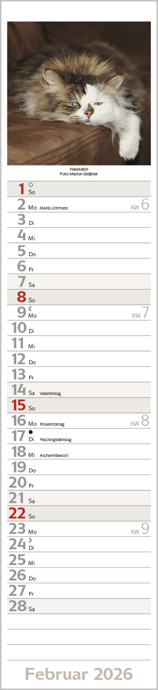 Katzen Langplaner 2026, Innenansicht #2