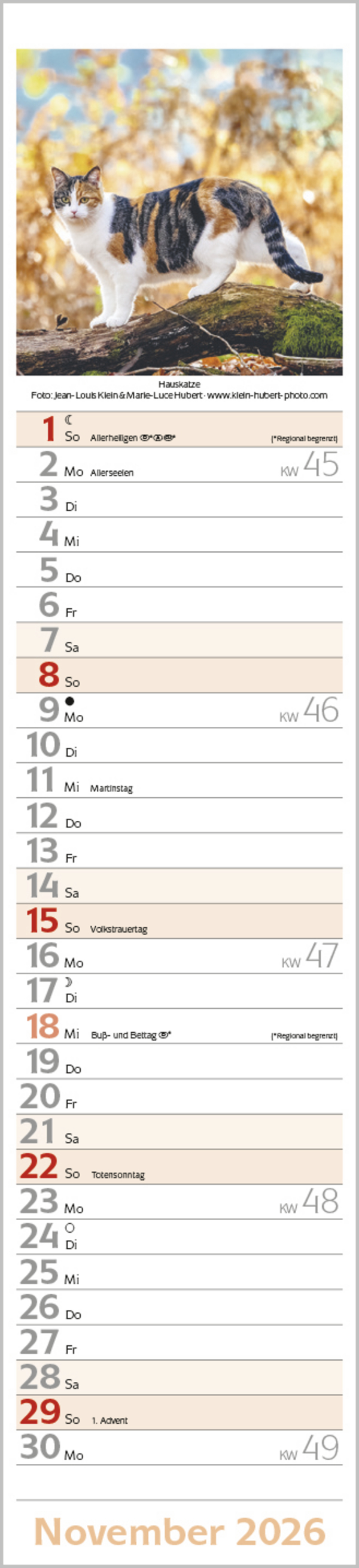 Katzen Langplaner 2026, Innenansicht #11