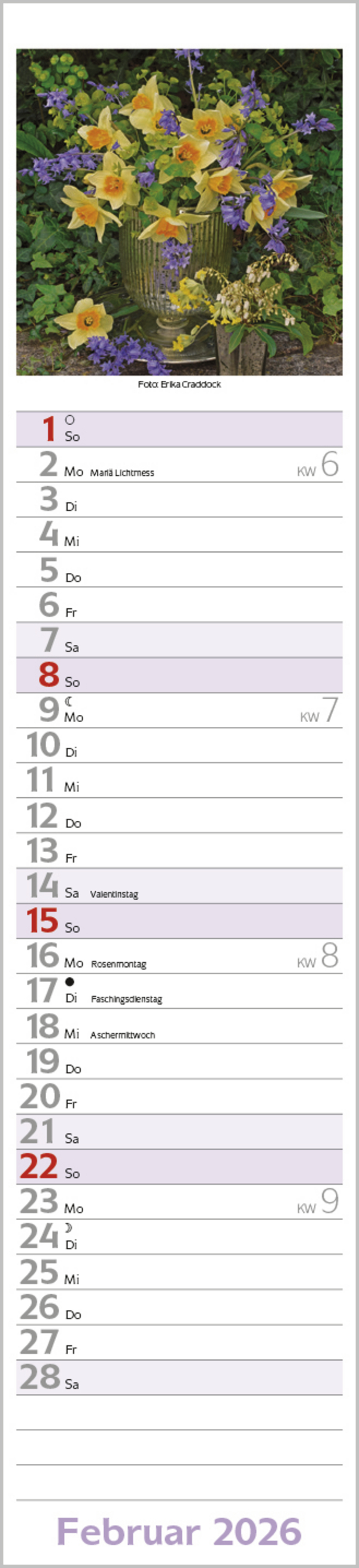 Flowers Langplaner 2026, Innenansicht #2