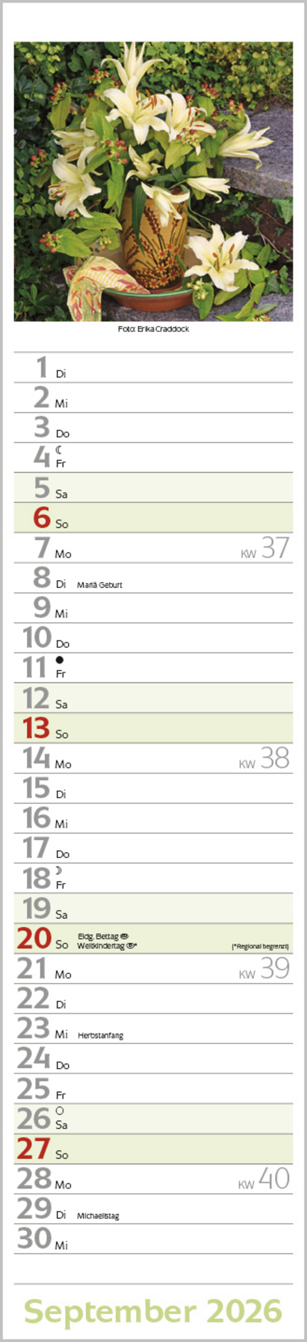 Flowers Langplaner 2026, Innenansicht #9