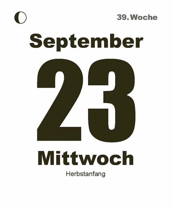 Tages-Abreisskalender 2026, Innenansicht #11