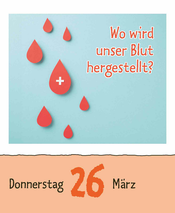 Warum wackelt Wackelpudding? 2026, Innenansicht #6