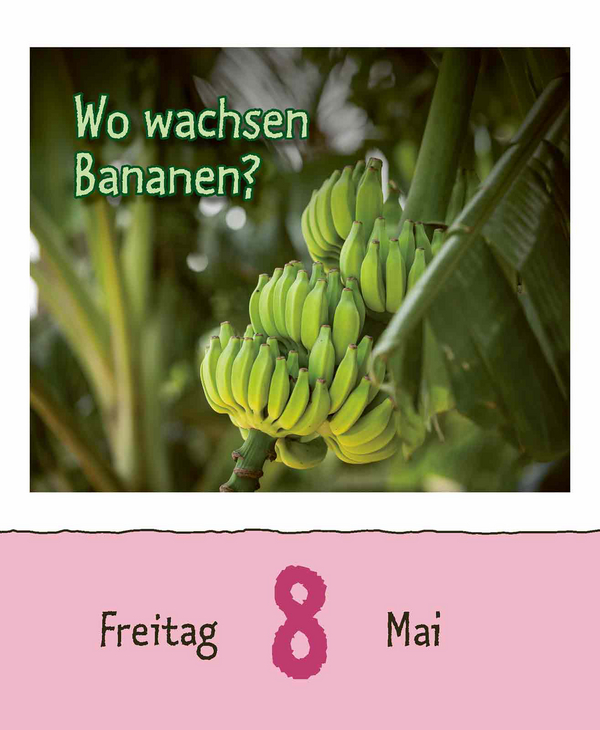 Warum wackelt Wackelpudding? 2026, Innenansicht #8