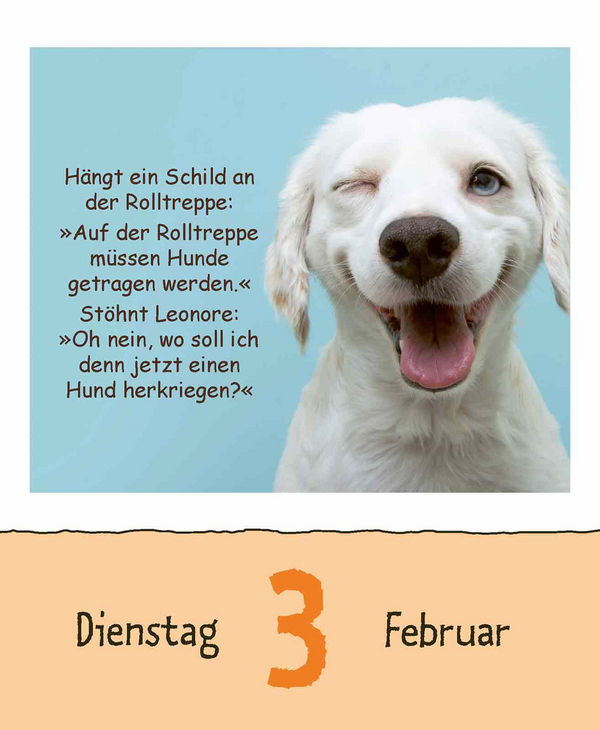 Schülerwitze 2026, Innenansicht #3