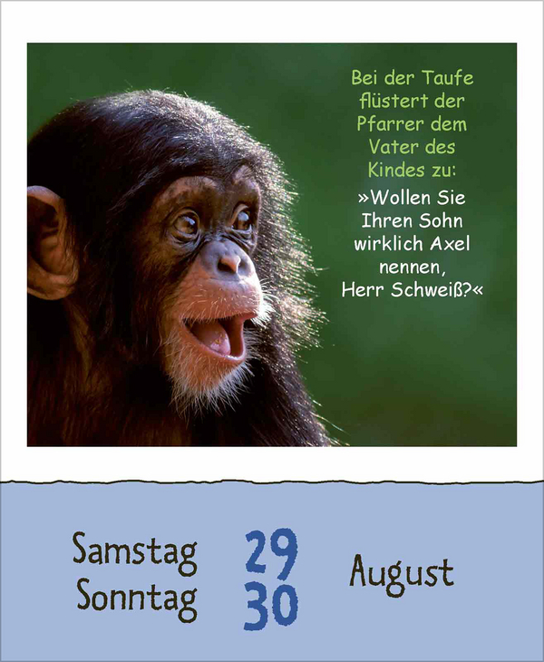 Schülerwitze 2026, Innenansicht #12