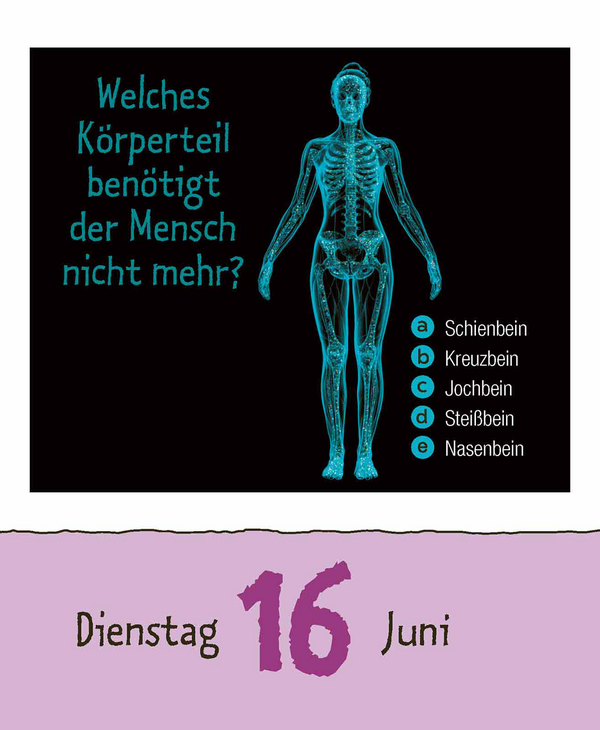 Vorsicht Geheimwissen 2026, Innenansicht #9