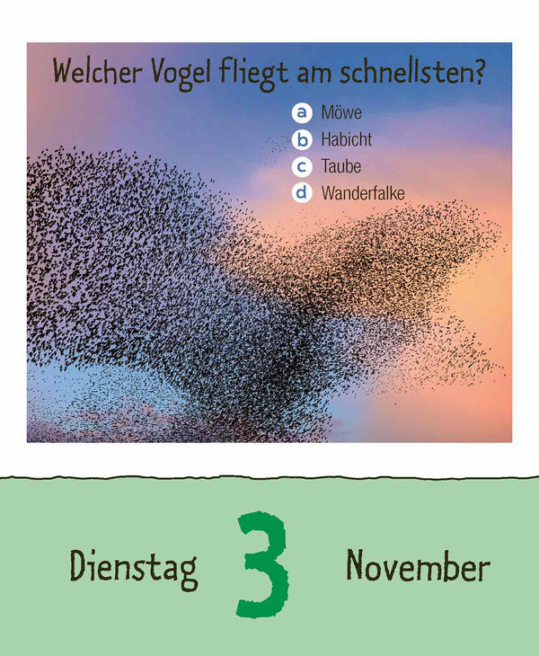 Vorsicht Geheimwissen 2026, Innenansicht #14