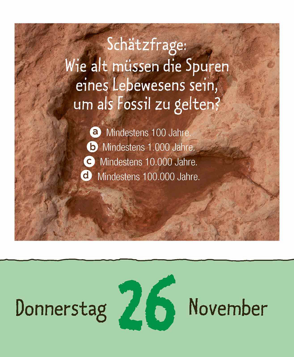 Vorsicht Geheimwissen 2026, Innenansicht #15