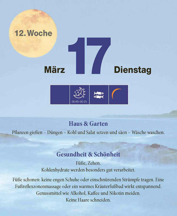 Mond Abreißkalender 2026, Innenansicht #5