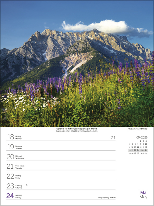 Zauber der Alpen 2026, Innenansicht #4