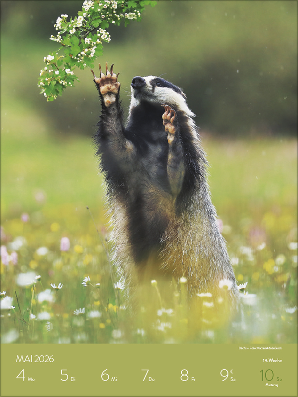 Heimische Tierwelt 2026, Innenansicht #6