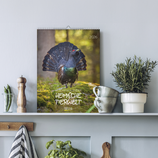 Heimische Tierwelt 2026, Innenansicht #55