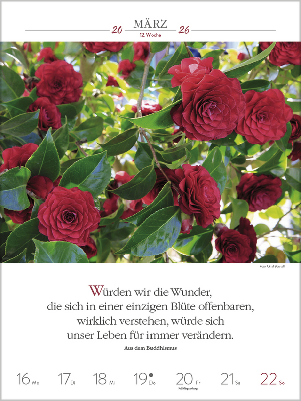 Literaturkalender Gartenlust 2026, Innenansicht #2