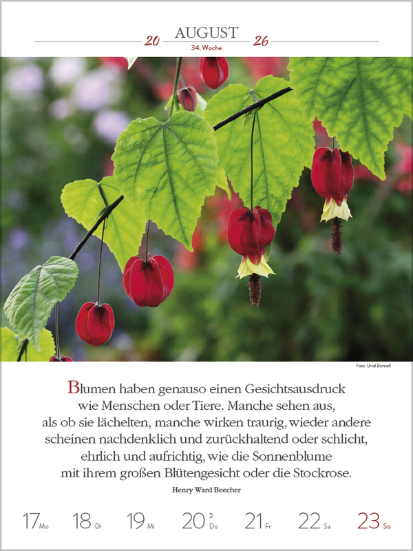 Literaturkalender Gartenlust 2026, Innenansicht #10