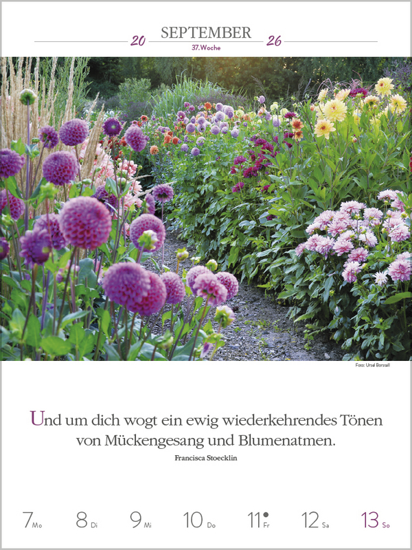 Literaturkalender Gartenlust 2026, Innenansicht #12