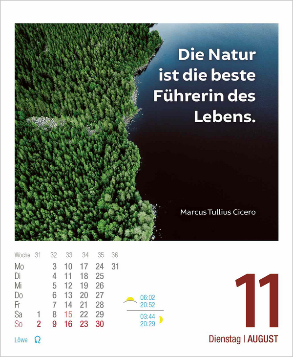 Lebensweisheiten 2026, Innenansicht #11
