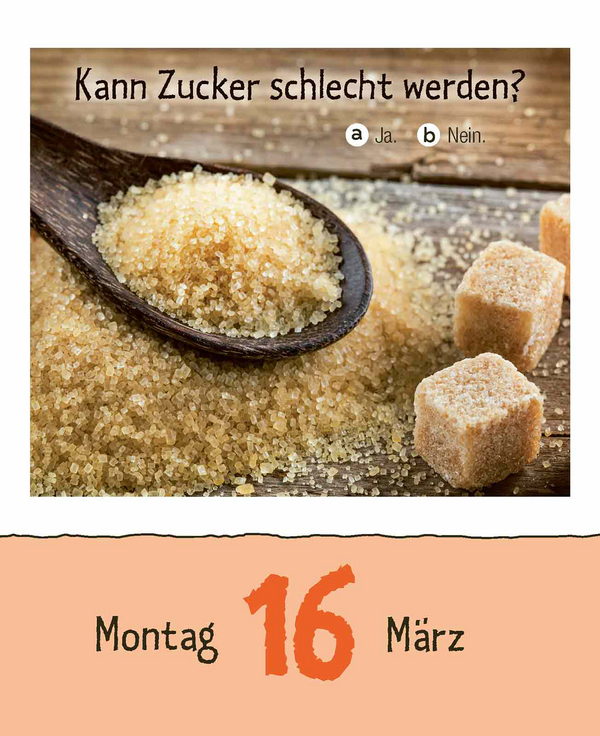 Kinderwissen 2026, Innenansicht #4