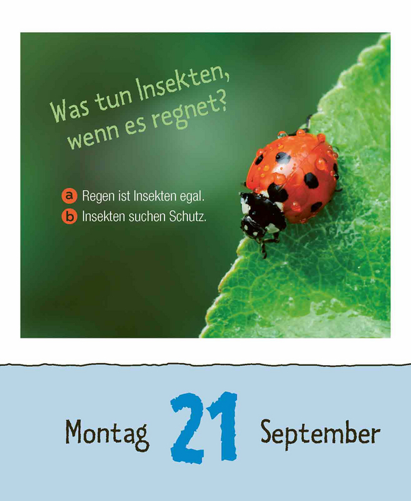 Kinderwissen 2026, Innenansicht #12