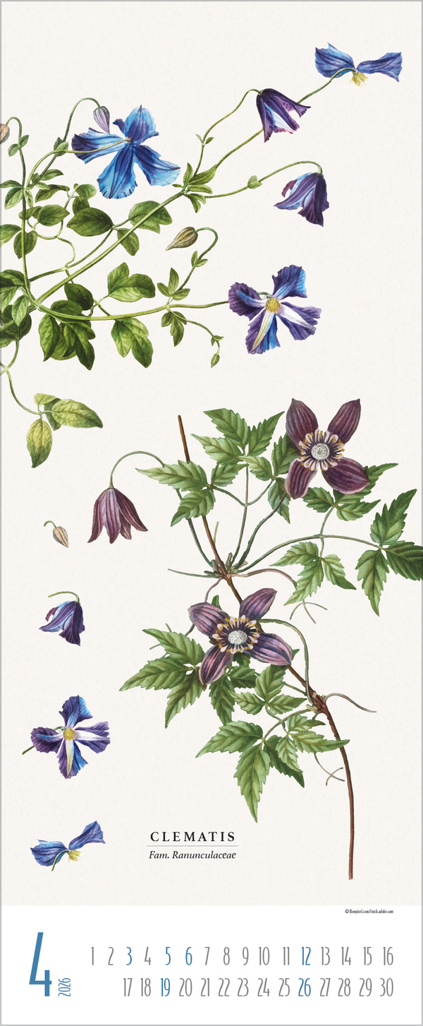 Botanicum 2026, Innenansicht #4