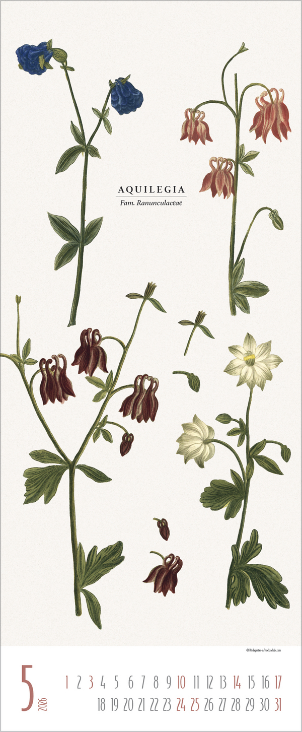 Botanicum 2026, Innenansicht #5