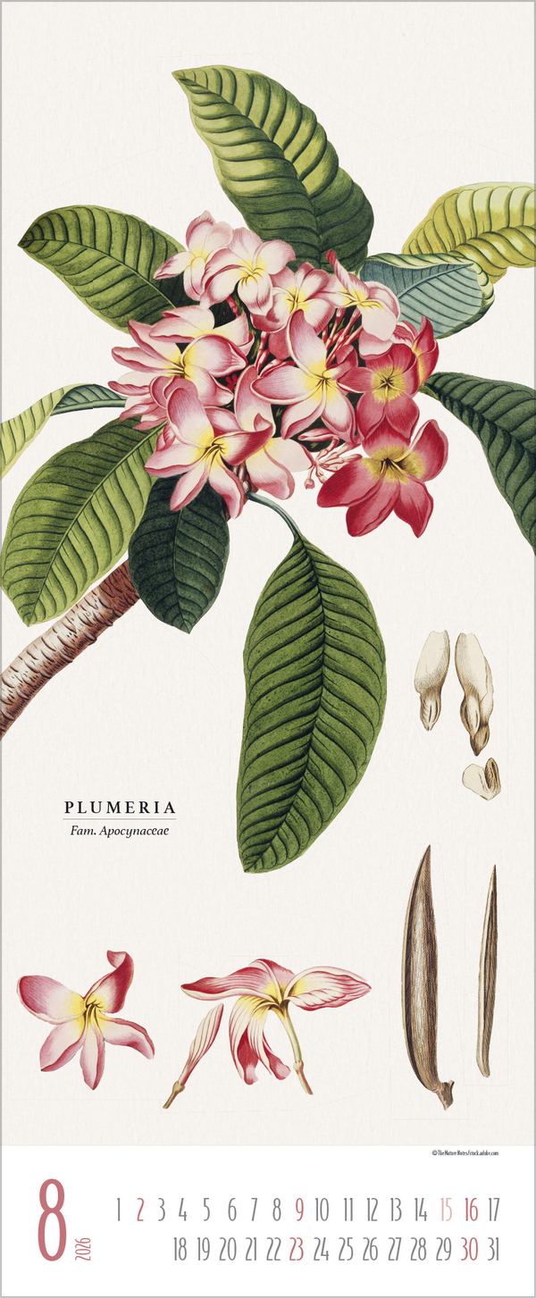 Botanicum 2026, Innenansicht #8