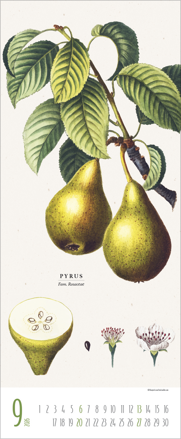 Botanicum 2026, Innenansicht #9