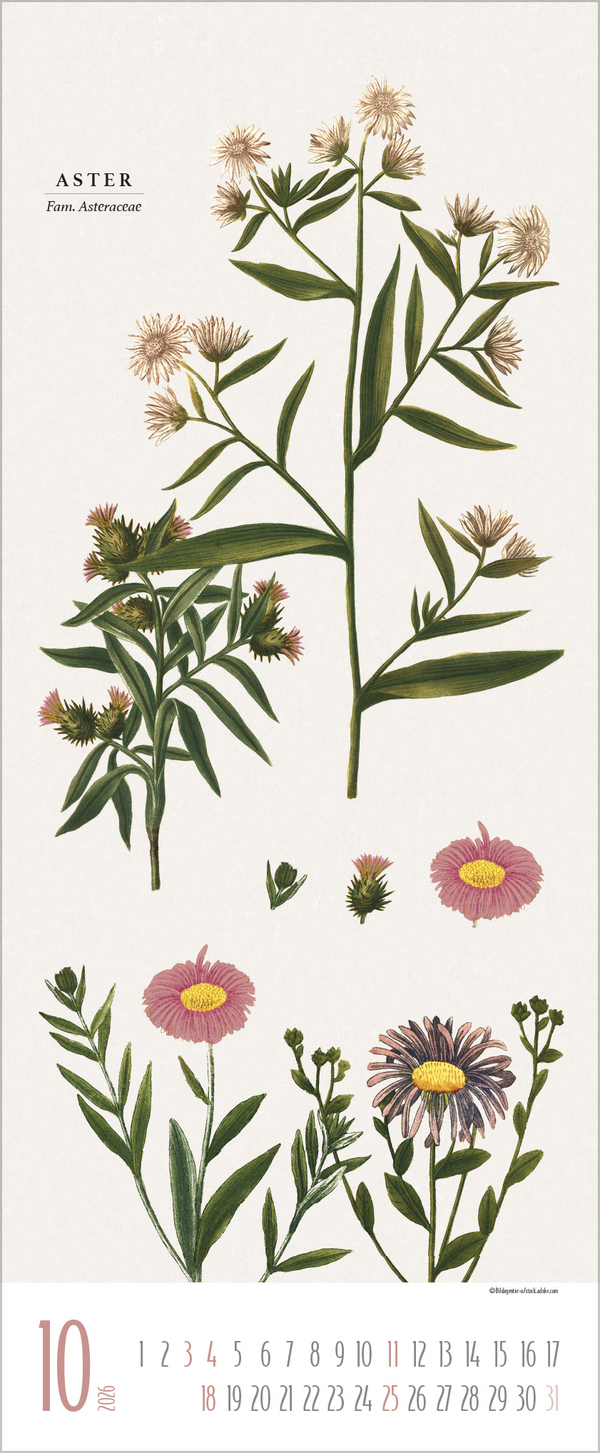 Botanicum 2026, Innenansicht #10