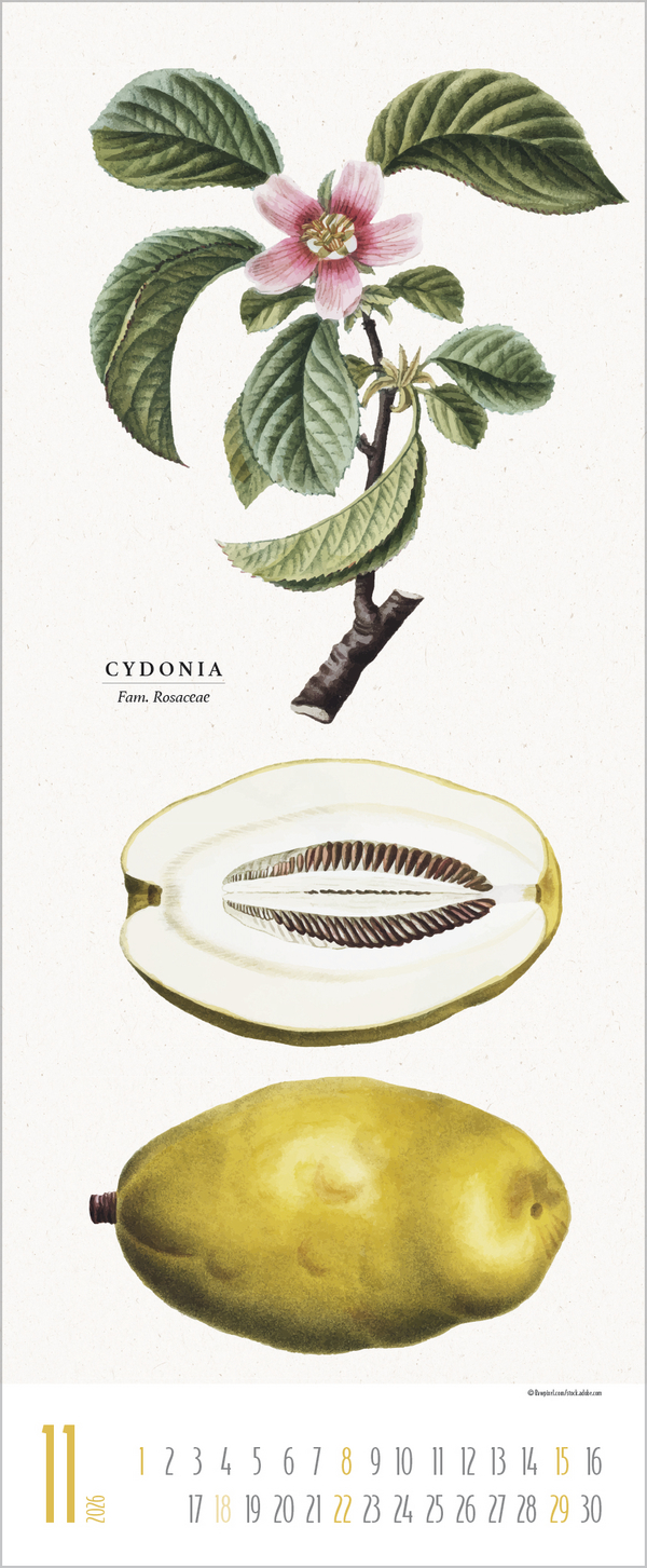 Botanicum 2026, Innenansicht #11