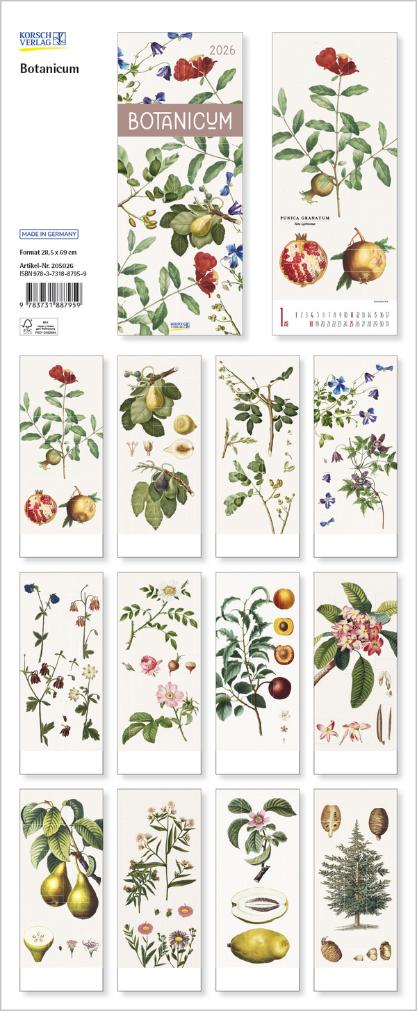 Botanicum 2026, Innenansicht #13