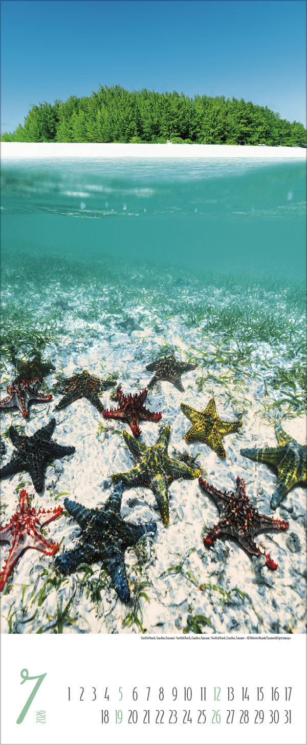 Magische Momente am Meer 2026, Innenansicht #7