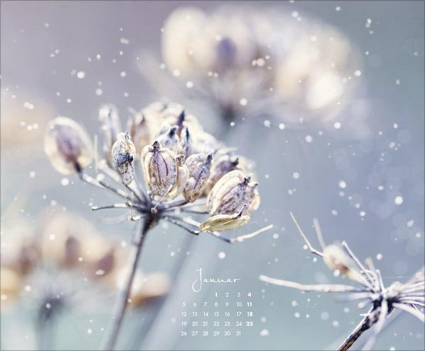Floral Art 2026, Innenansicht #1