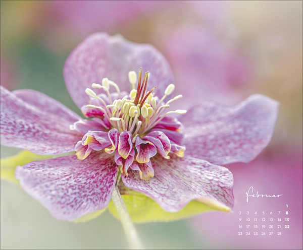 Floral Art 2026, Innenansicht #2