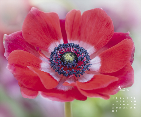 Floral Art 2026, Innenansicht #3