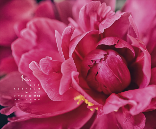 Floral Art 2026, Innenansicht #5