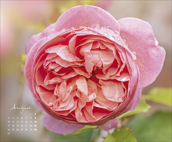 Floral Art 2026, Innenansicht #8