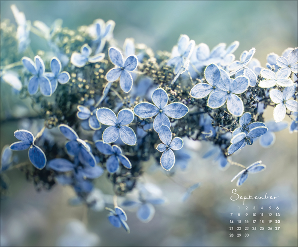 Floral Art 2026, Innenansicht #9