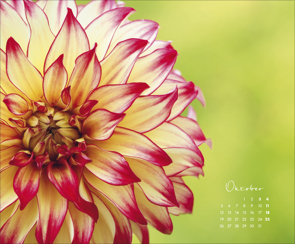 Floral Art 2026, Innenansicht #10